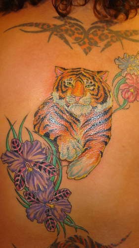 背部彩色芙蓉花与老虎纹身图片