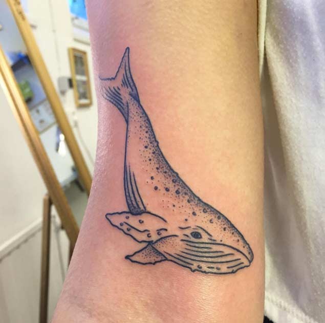 手臂简约小清新的鲸鱼纹身图案