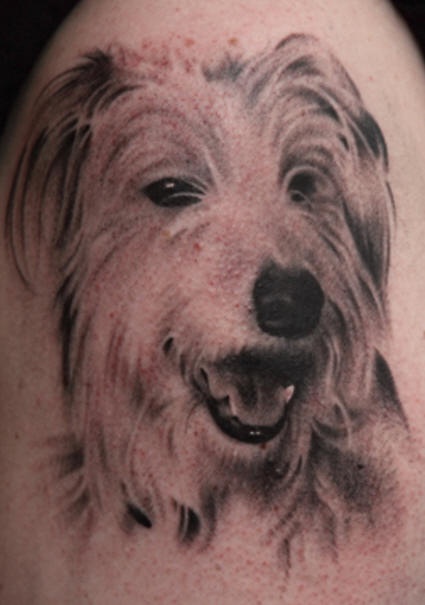 长毛狗的肖像纹身图案
