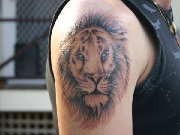 男性肩部棕色狮子头纹身图片
