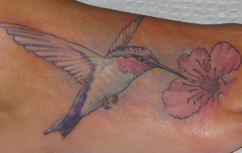 脚背彩色逼真的蜂鸟与花朵纹身图片
