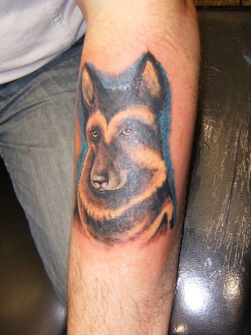 小臂德国牧羊犬纹身图案