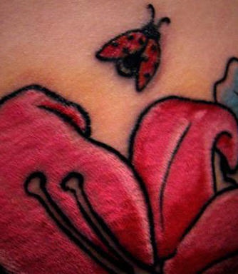 肩部在粉红色的百合花上瓢虫纹身图案