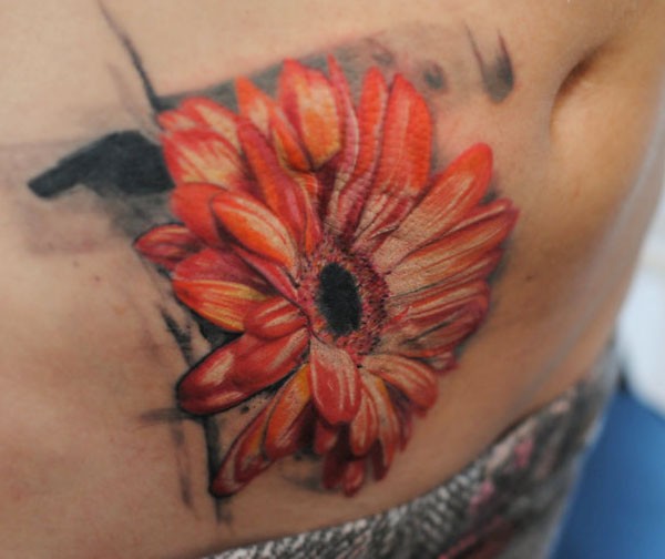 腹部彩色逼真的非洲菊纹身图案