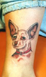 可爱的蝙蝠耳小狗纹身图案