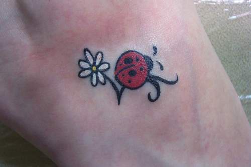 手腕彩色菊花与瓢虫纹身图案