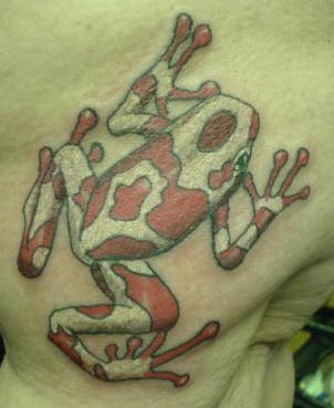 男性腿部彩色青蛙纹身图案