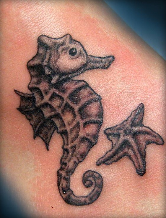 脚部黑白相间的海马和海星纹身图案