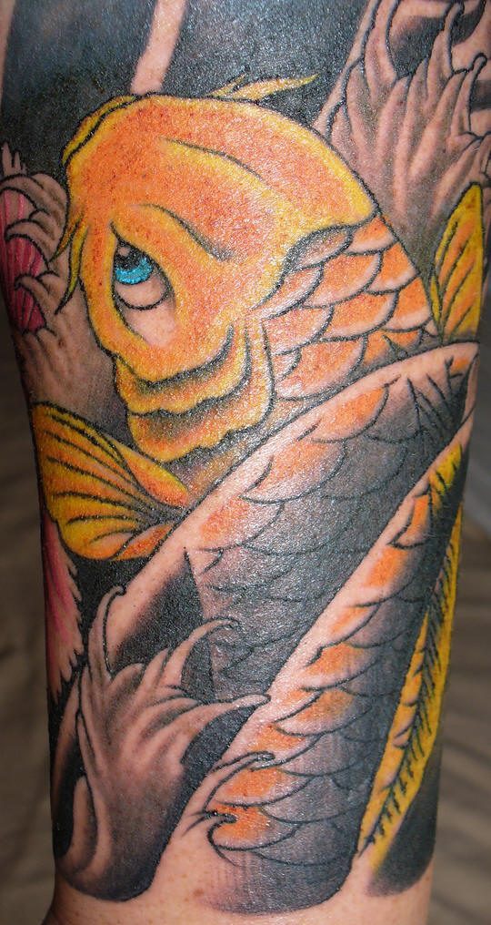 肩部彩色黄金锦鲤鱼纹身图案