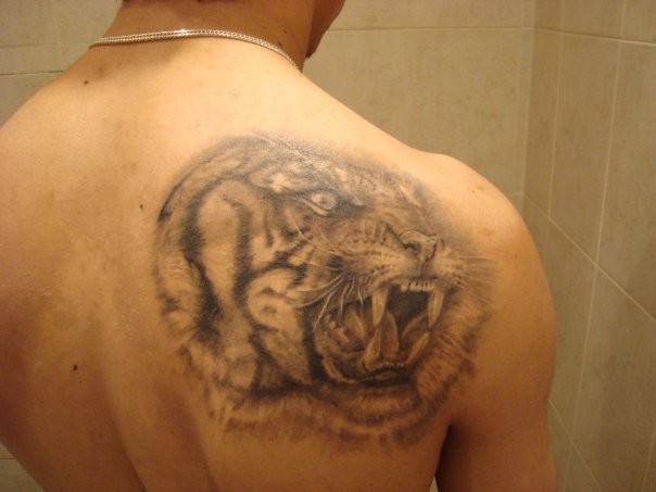 肩部灰色咆哮的老虎头纹身图案