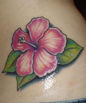 腰部彩色逼真的粉色木槿花纹身图案