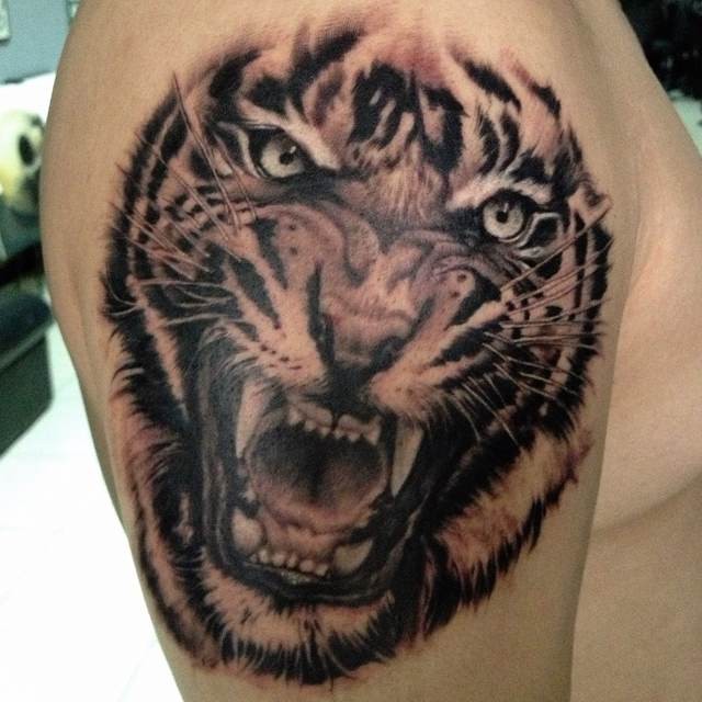 男性大臂愤怒的老虎头像纹身图案