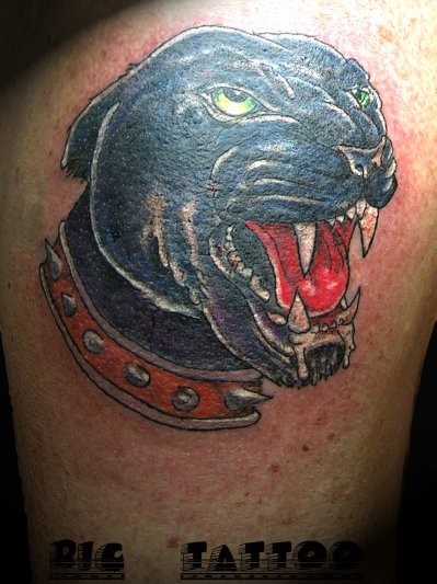 红项圈的黑豹肖像纹身图案
