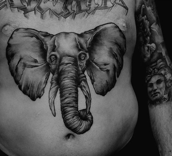 腹部写实风格大象头像纹身图案
