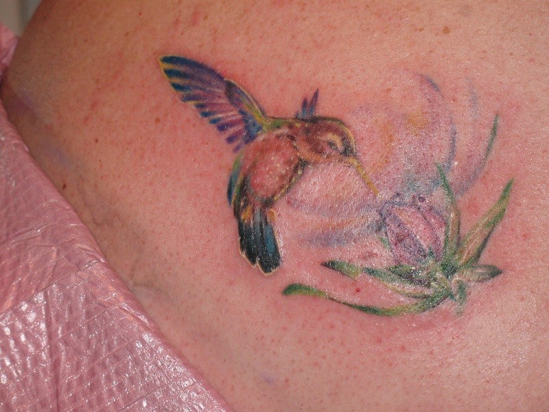 腰部水彩色飞溅的蜂鸟和花纹身