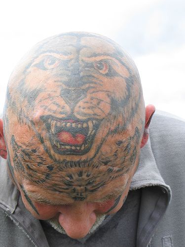 男性头部彩色老虎头纹身图片