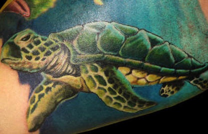 腿部彩色逼真的绿龟纹身图案