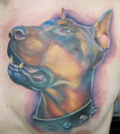 胸部彩色可爱的杜宾犬和项圈纹身图案