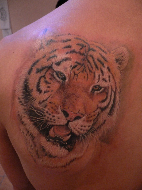 肩部彩色逼真的老虎头纹身图片