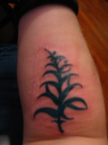 手臂黑色厚叶植物纹身图案