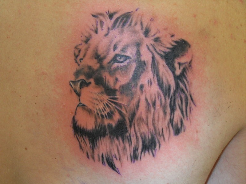 好看的狮子头像纹身图案