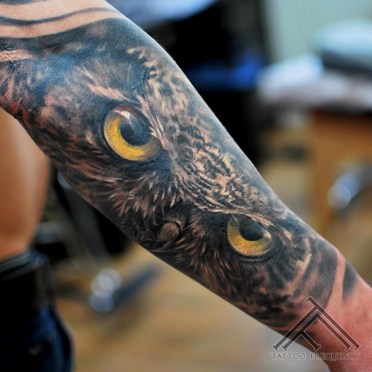 手臂逼真的现实主义风格的猫头鹰纹身