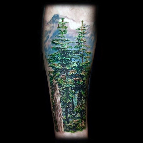 手臂彩色逼真的深山森林纹身图案