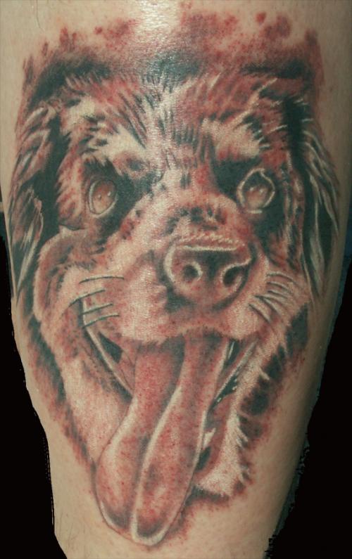 吐舌头的狗纹身图案
