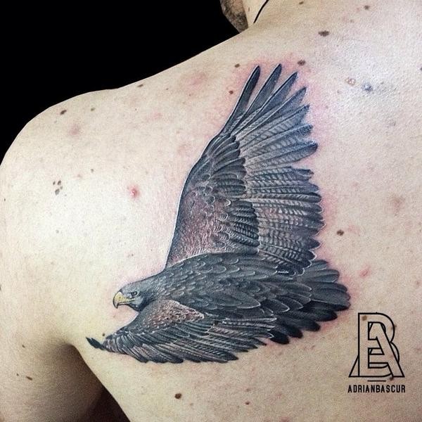 背部自然彩色精致逼真的鹰纹身图案
