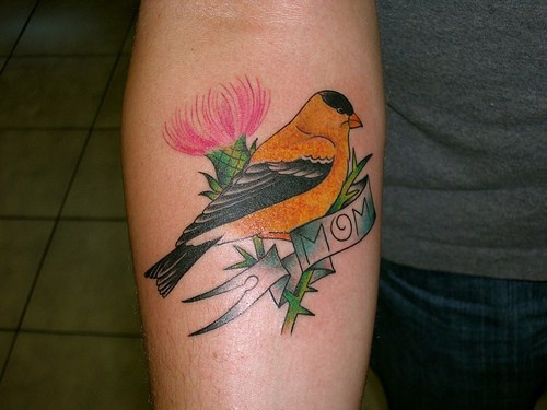 手臂彩色小鸟与字母纹身图案