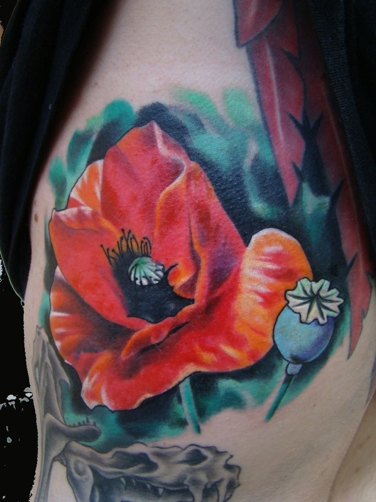 肩部水彩色红罂粟花纹身图案