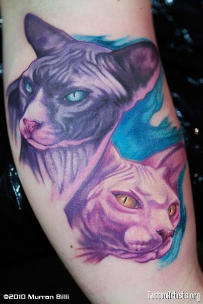 手臂彩色逼真的猫头纹身图案