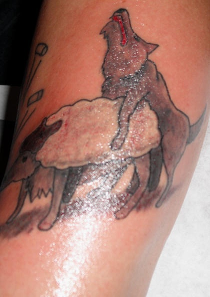 腿部保鲁夫狼和绵羊纹身图案