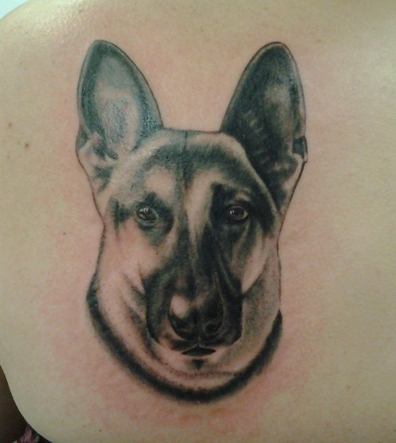 肩部逼真的德国牧羊犬纹身图案