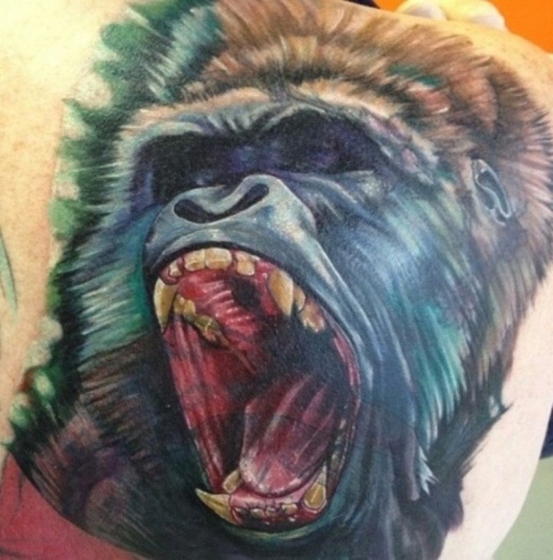 肩部逼真的彩色咆哮大猩猩纹身图片