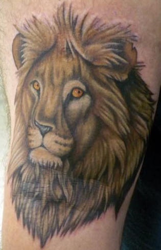 肩部彩色逼真狮子头纹身图案