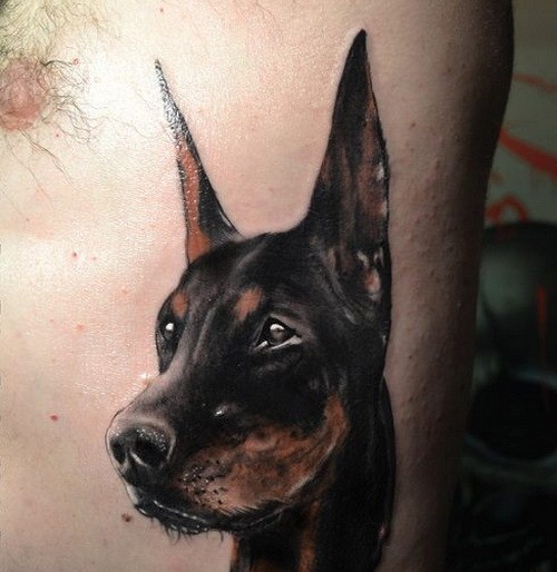 杜宾犬头部纹身图案