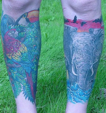 小腿大象和鹦鹉彩绘纹身图案