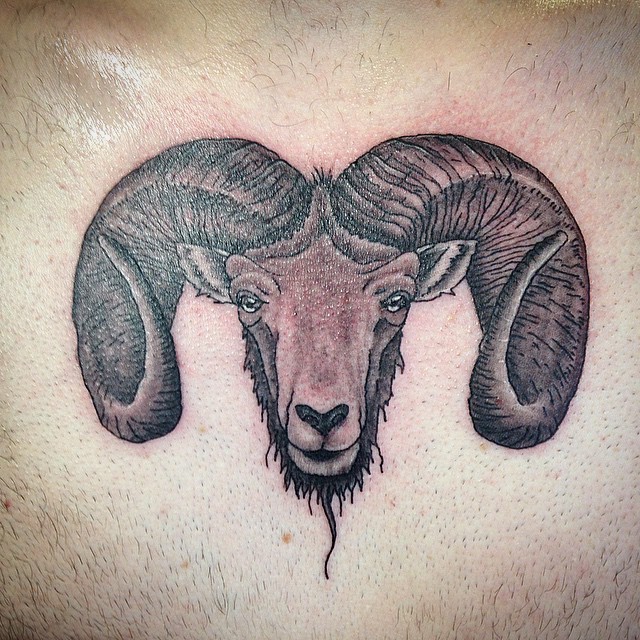 精致的大角山羊头部纹身图案