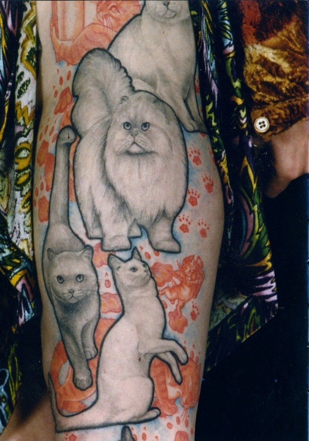 手臂现实主义风格的滑稽猫纹身图案