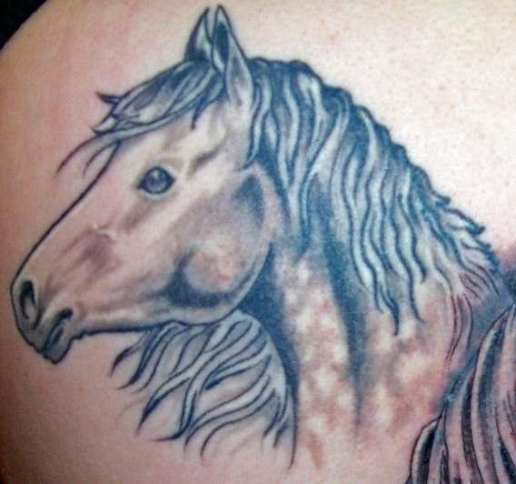 腿部棕色逼真的马头纹身图片