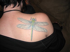 女生背部一只大蜻蜓纹身图案