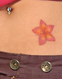 腹部彩色小清新花朵纹身图案