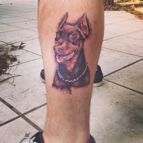 小腿彩色杜宾犬肖像纹身图案