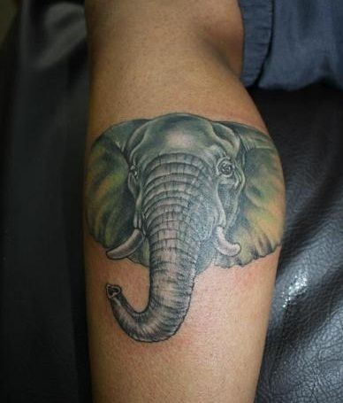 小腿简单的彩色写实大象头部纹身图案