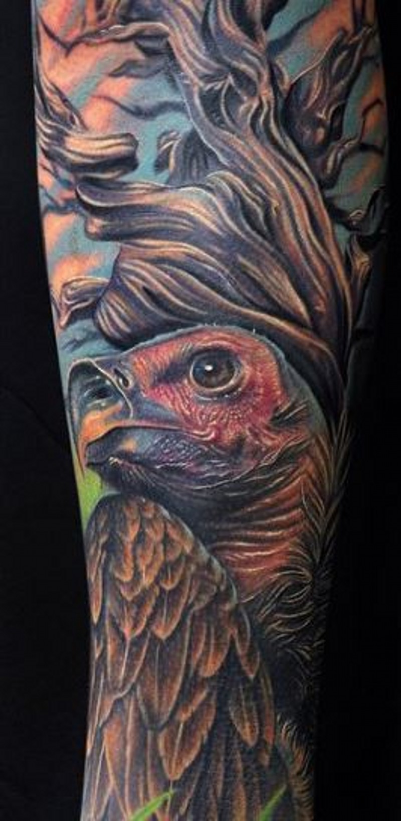 手臂细致的鹰彩色纹身图案