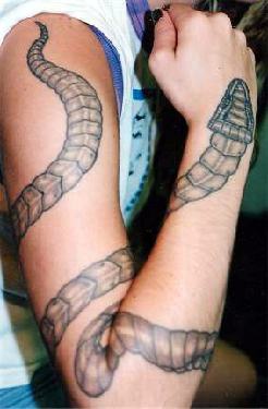 手臂灰色个性蛇纹身图案