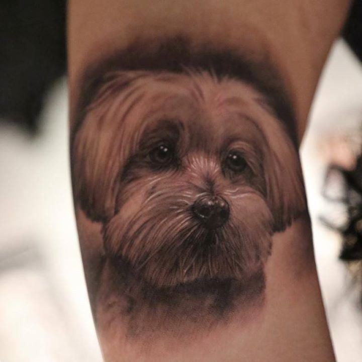 可爱逼真的狗肖像纹身图案