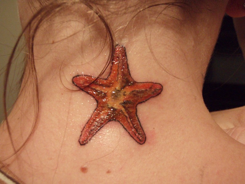 颈部橙色的海星纹身图案