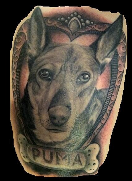 一只名叫彪马的狗肖像纹身图案